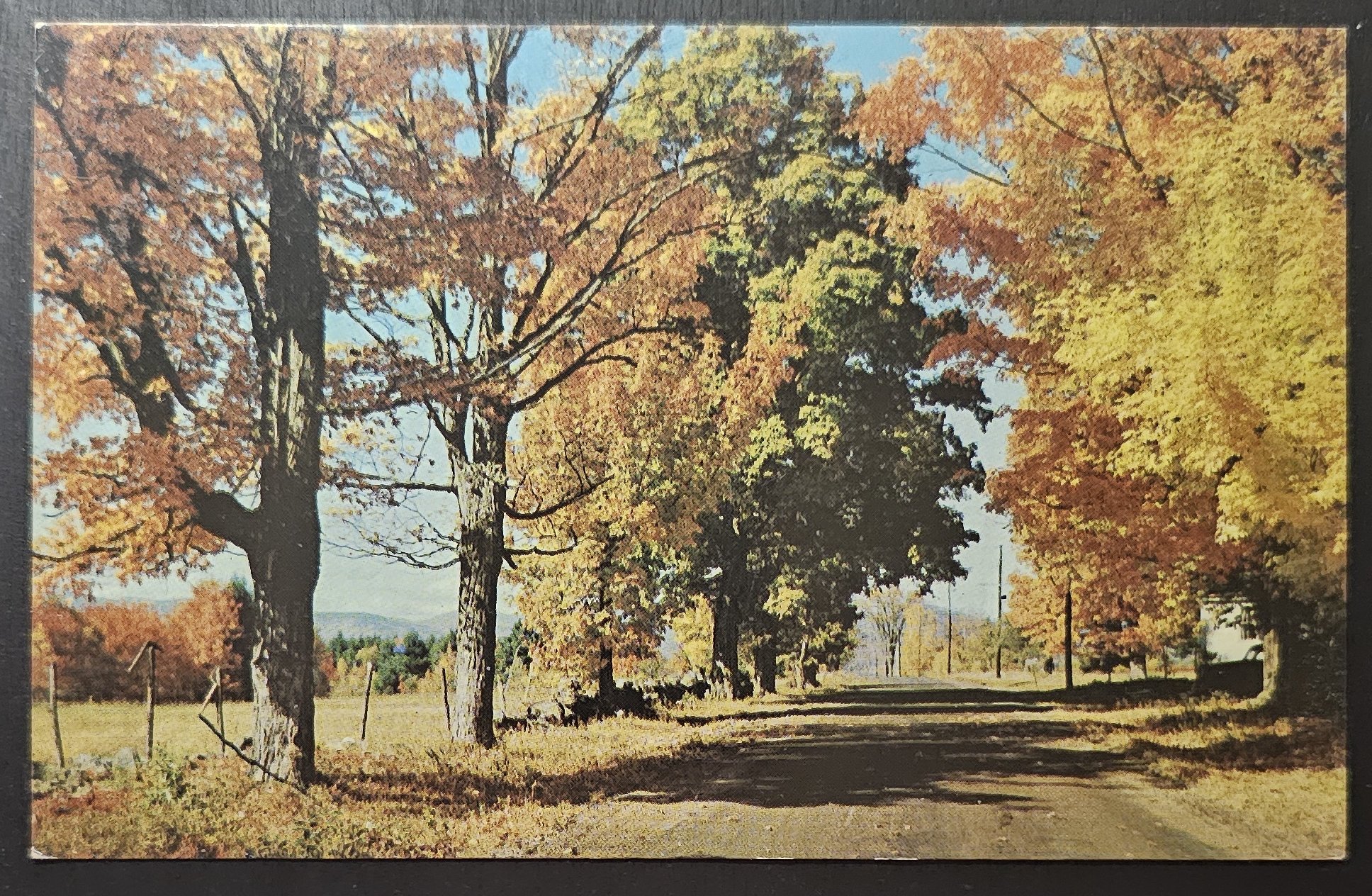 (image for) postcard USA - TX - Texas #0004